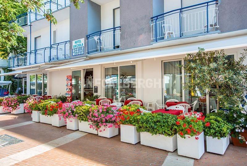 B&B Hotel Lucciola Cattolica Dış mekan fotoğraf